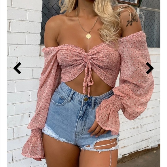 SOLD Beagle Crop - Pink Floral - Picture 4 of 8